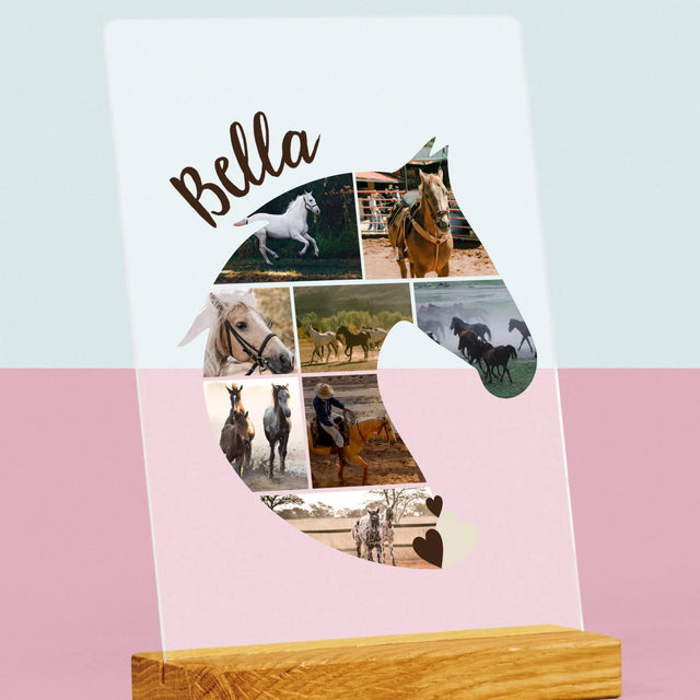 Tvar Z Fotek: Kůň - Tisk Na Akrylovém Skle