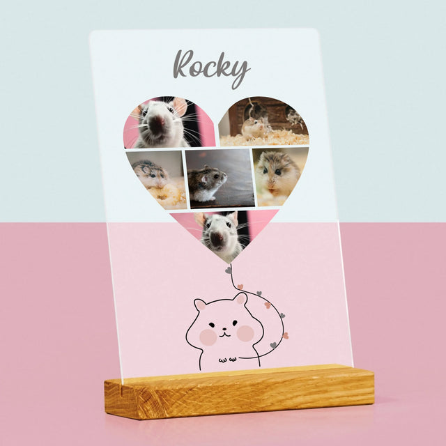 Fotokoláž: Křeček - Tisk Na Akrylovém Skle