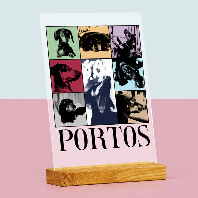 Fotokoláž: Štěně Jak Taylor - Tisk Na Akrylovém Skle