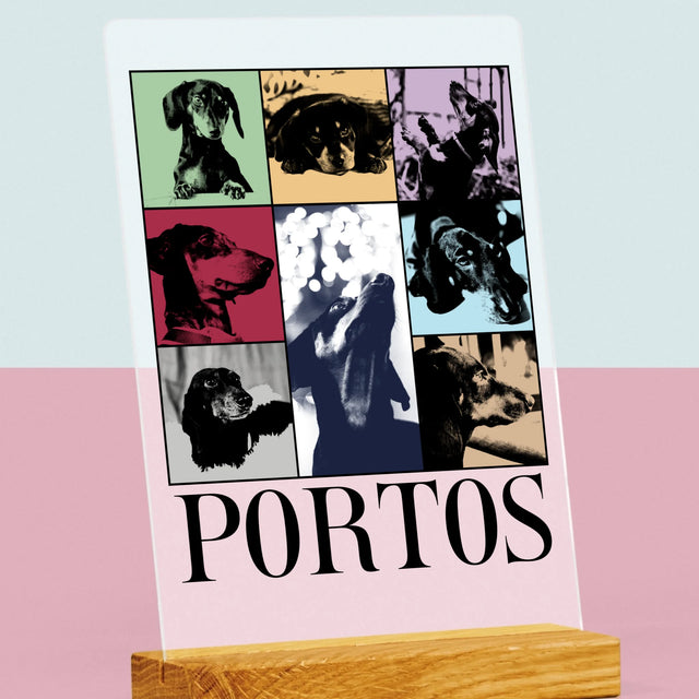 Fotokoláž: Štěně Jak Taylor - Tisk Na Akrylovém Skle