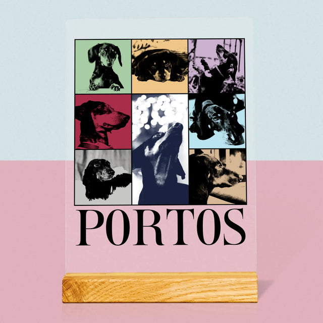 Fotokoláž: Štěně Jak Taylor - Tisk Na Akrylovém Skle