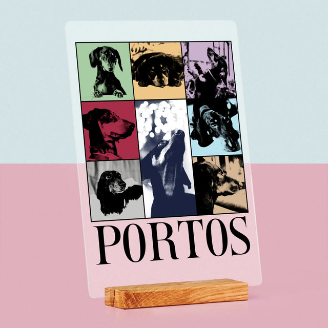 Fotokoláž: Štěně Jak Taylor - Tisk Na Akrylovém Skle