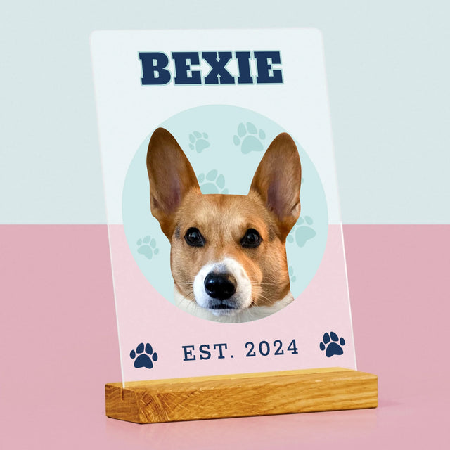 Tvoje Postava: Tvůj Pes - Tisk Na Akrylovém Skle