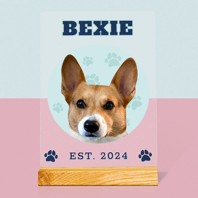 Tvoje Postava: Tvůj Pes - Tisk Na Akrylovém Skle