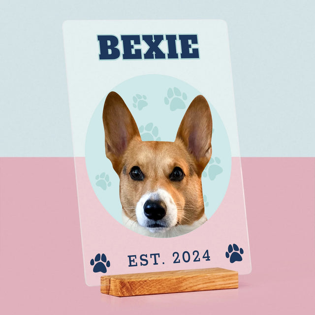 Tvoje Postava: Tvůj Pes - Tisk Na Akrylovém Skle