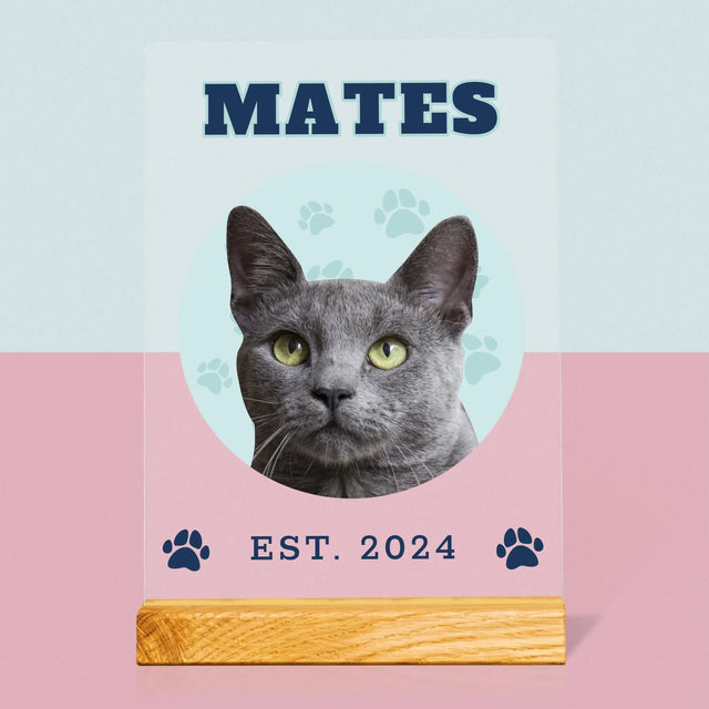 Tvoje Postava: Tvoje Kočka - Tisk Na Akrylovém Skle