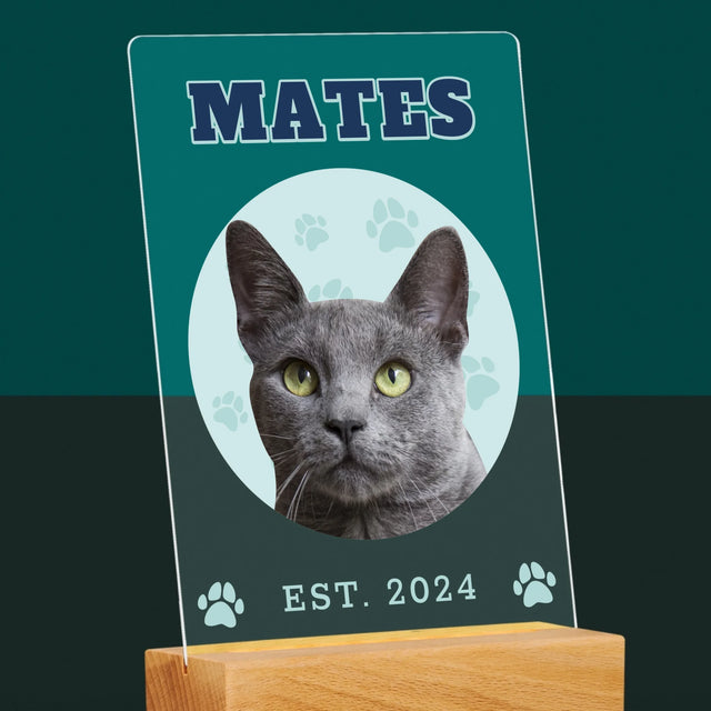 Tvoje Postava: Tvoje Kočka - Tisk Na Akrylovém Skle