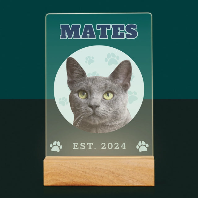 Tvoje Postava: Tvoje Kočka - Tisk Na Akrylovém Skle