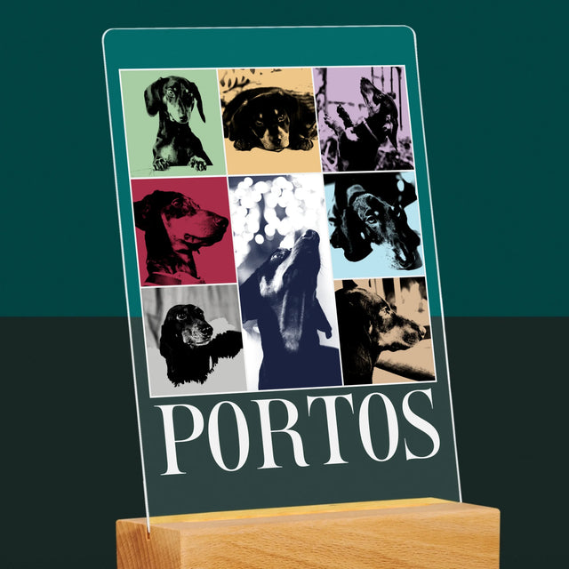 Fotokoláž: Štěně Jak Taylor - Tisk Na Akrylovém Skle