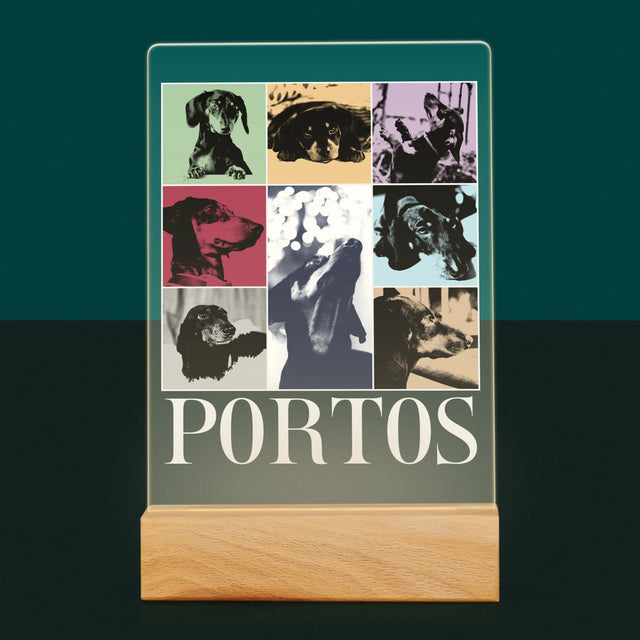 Fotokoláž: Štěně Jak Taylor - Tisk Na Akrylovém Skle