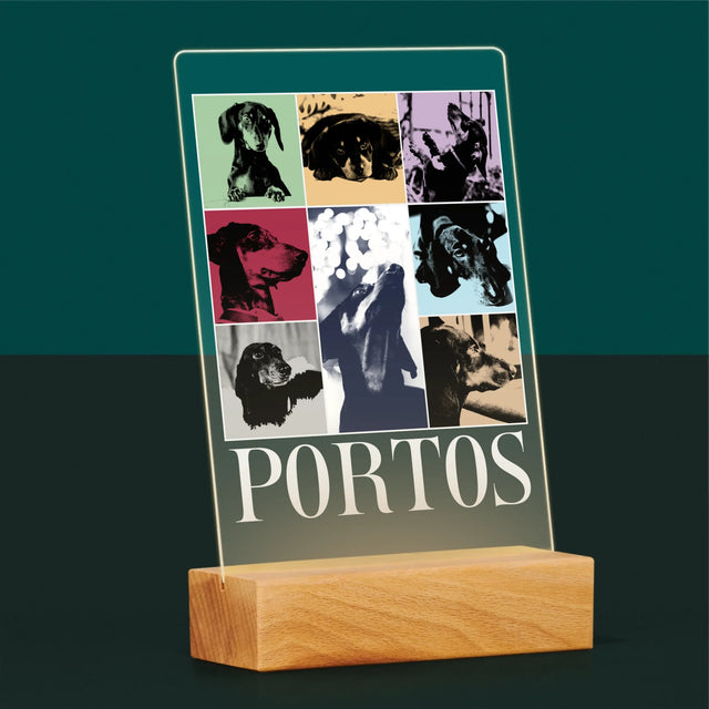 Fotokoláž: Štěně Jak Taylor - Tisk Na Akrylovém Skle