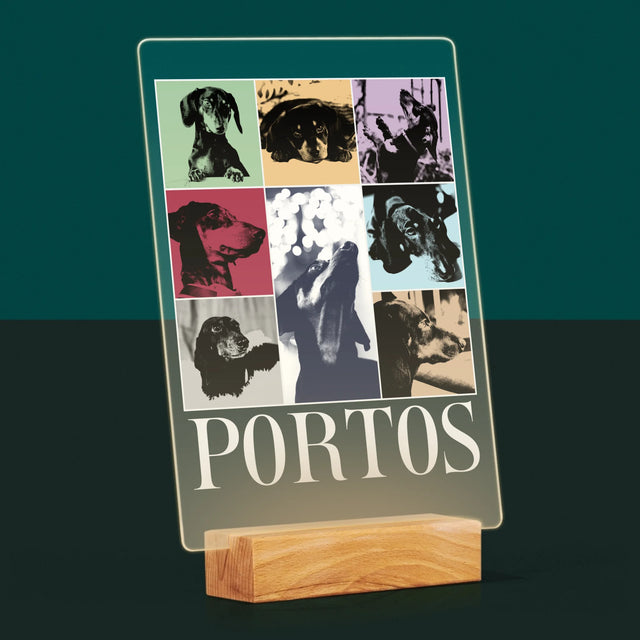 Fotokoláž: Štěně Jak Taylor - Tisk Na Akrylovém Skle