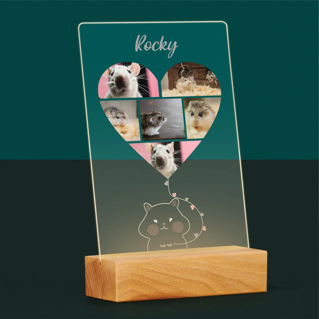 Fotokoláž: Křeček - Tisk Na Akrylovém Skle