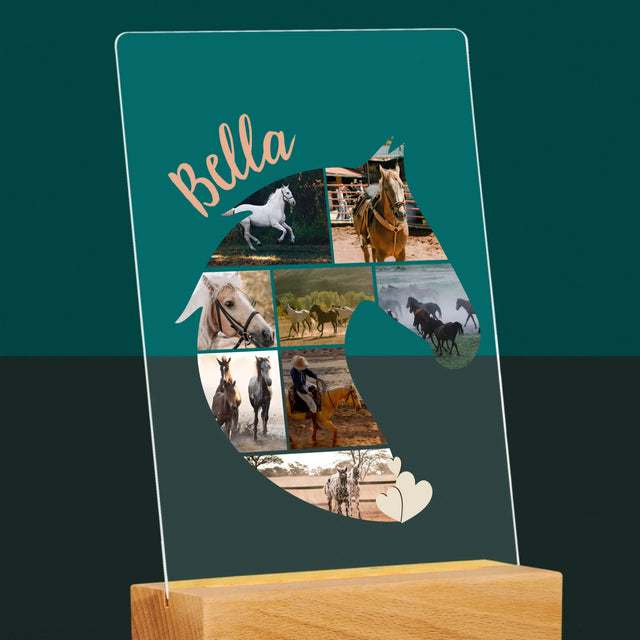 Tvar Z Fotek: Kůň - Tisk Na Akrylovém Skle