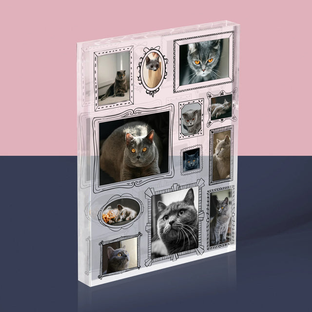 Fotokoláž: Galerijní Stěna
S Mazlíčkem - Akrylový Blok