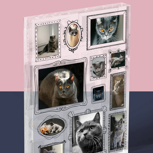 Fotokoláž: Galerijní Stěna
S Mazlíčkem - Akrylový Blok