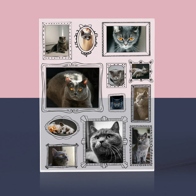 Fotokoláž: Galerijní Stěna
S Mazlíčkem - Akrylový Blok