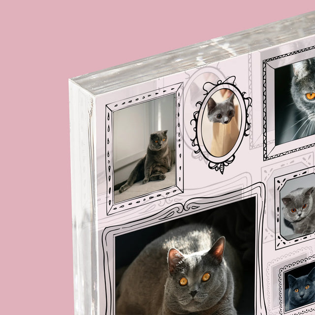 Fotokoláž: Galerijní Stěna
S Mazlíčkem - Akrylový Blok