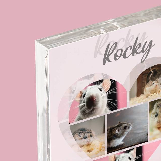 Fotokoláž: Křeček - Akrylový Blok