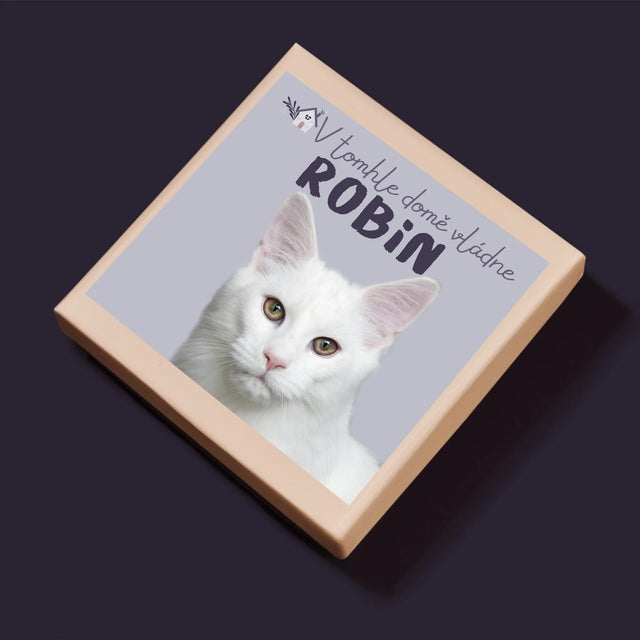 Fotka A Textem: V Tomhle Domě Vládne Mazlíček - Puzzle