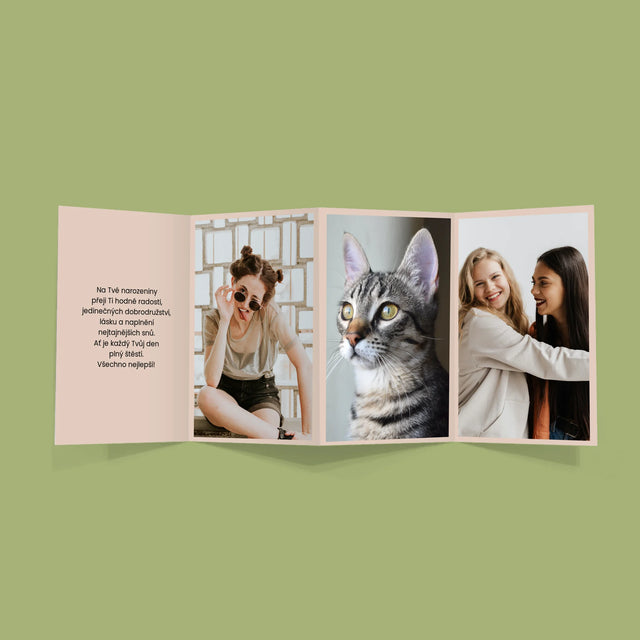 Fotokoláž: Narozeniny - Velká Harmonika Z Fotografií