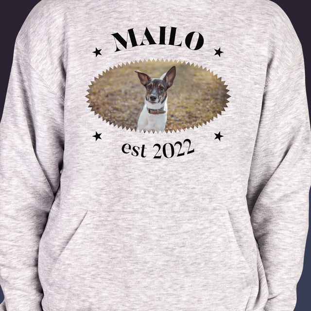 Fotka A Textem: Pes Established - Pánská Mikina S Kapuci