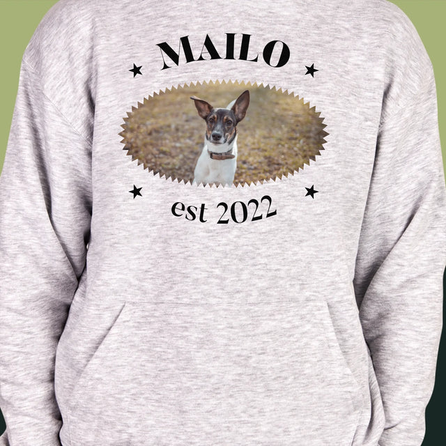 Fotografie a popisek: Pies Established - Pánská mikina s kapucí | Německo