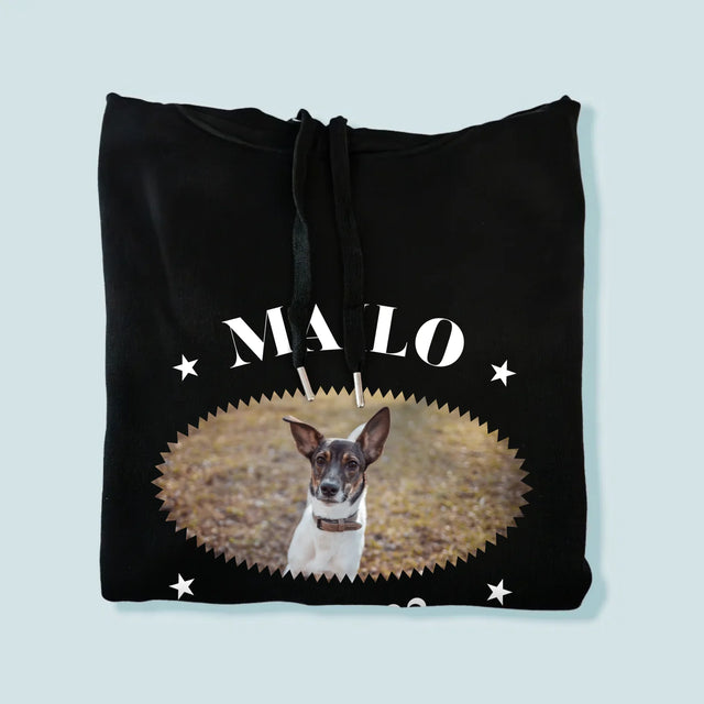 Fotografie a popisek: Pies Established - Pánská mikina s kapucí | Německo