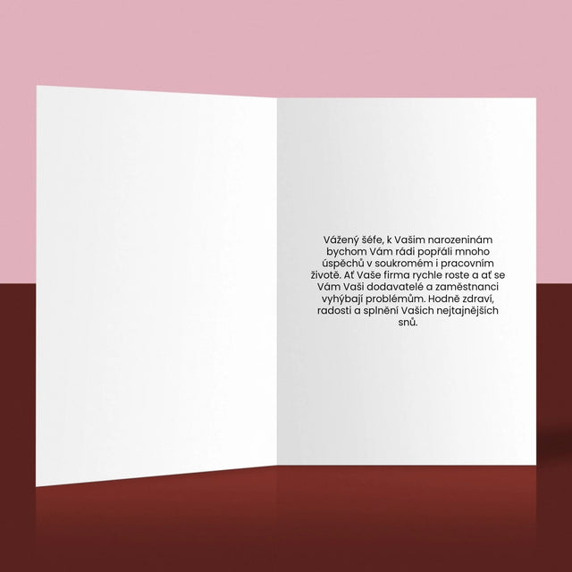 Obálka časopisu: Vedoucí týmu - Přání | CZ