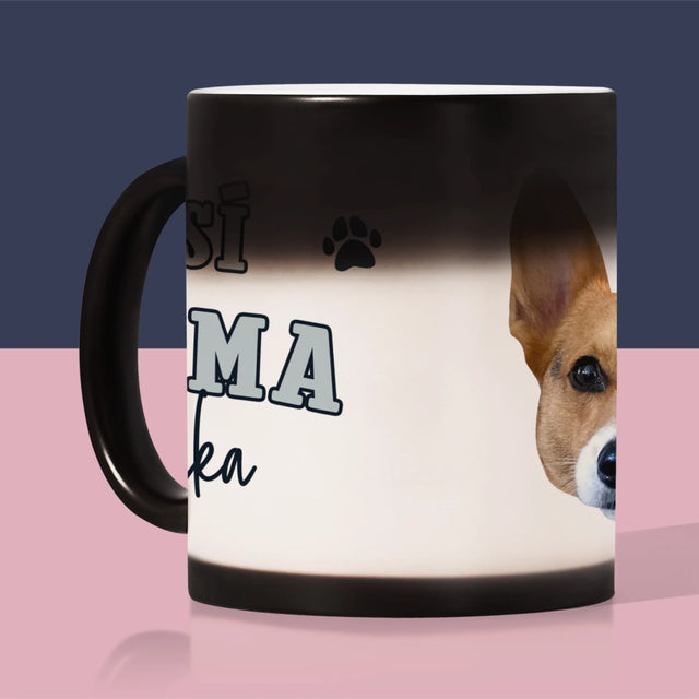 magiczny 2