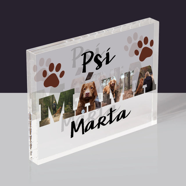 Slovo Z Fotek: Psí Máma Ve Fotkách - Akrylový Blok