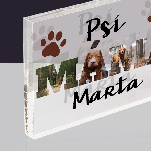 Slovo Z Fotek: Psí Máma Ve Fotkách - Akrylový Blok