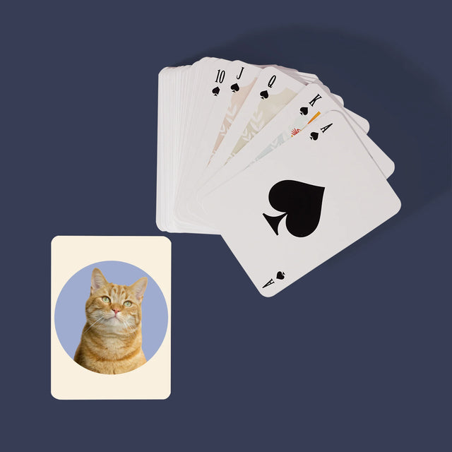 Fotka: Tvoje Kočka - Hrací Karty