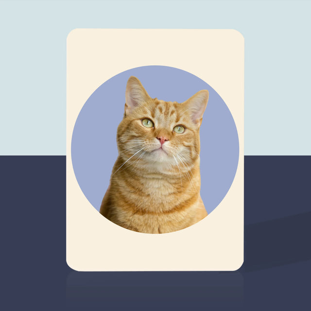 Fotka: Tvoje Kočka - Hrací Karty