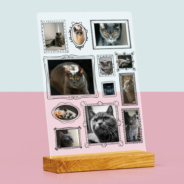 Fotokoláž: Galerijní Stěna
S Mazlíčkem - Tisk Na Akrylovém Skle