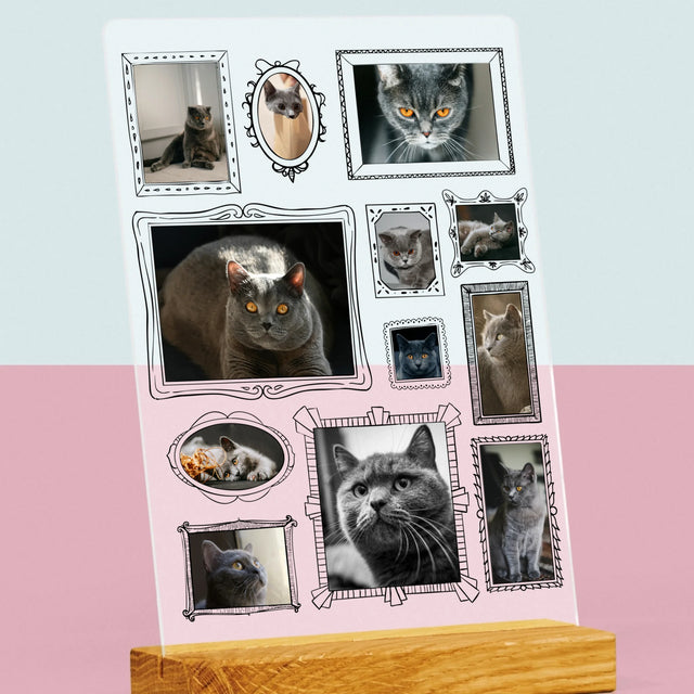 Fotokoláž: Galerijní Stěna
S Mazlíčkem - Tisk Na Akrylovém Skle