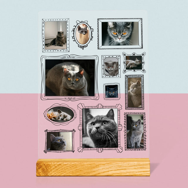 Fotokoláž: Galerijní Stěna
S Mazlíčkem - Tisk Na Akrylovém Skle