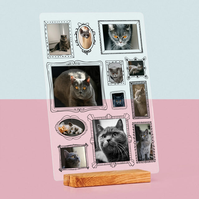 Fotokoláž: Galerijní Stěna
S Mazlíčkem - Tisk Na Akrylovém Skle