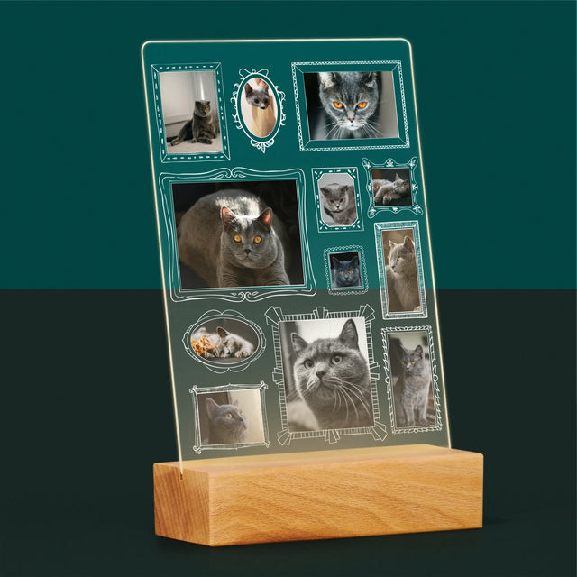 Fotokoláž: Galerijní Stěna
S Mazlíčkem - Tisk Na Akrylovém Skle