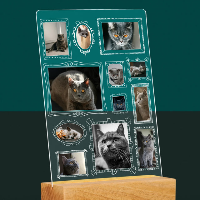 Fotokoláž: Galerijní Stěna
S Mazlíčkem - Tisk Na Akrylovém Skle