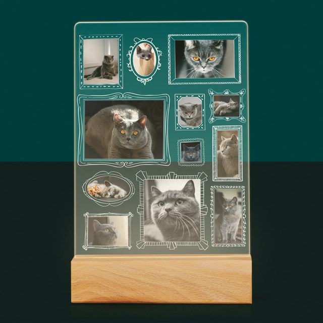 Fotokoláž: Galerijní Stěna
S Mazlíčkem - Tisk Na Akrylovém Skle