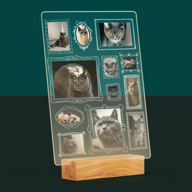 Fotokoláž: Galerijní Stěna
S Mazlíčkem - Tisk Na Akrylovém Skle