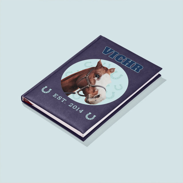 Tvoje Postava: Tvůj Kůň - Zápisník