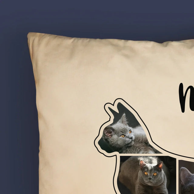 Tvar Z Fotek: Kočka Ten Nejlepší Přítel - Polštář