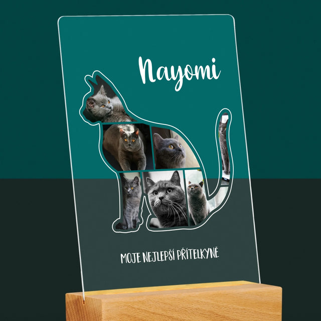 Tvar Z Fotek: Kočka Ten Nejlepší Přítel - Tisk Na Akrylovém Skle
