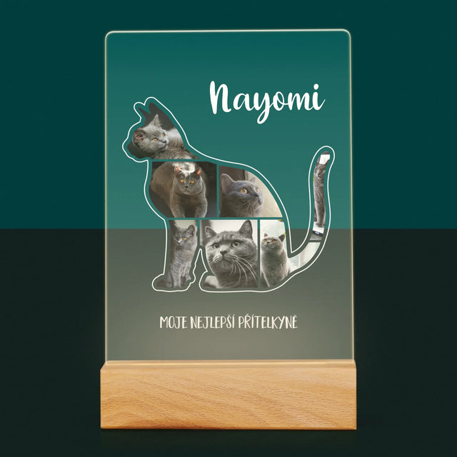 Tvar Z Fotek: Kočka Ten Nejlepší Přítel - Tisk Na Akrylovém Skle