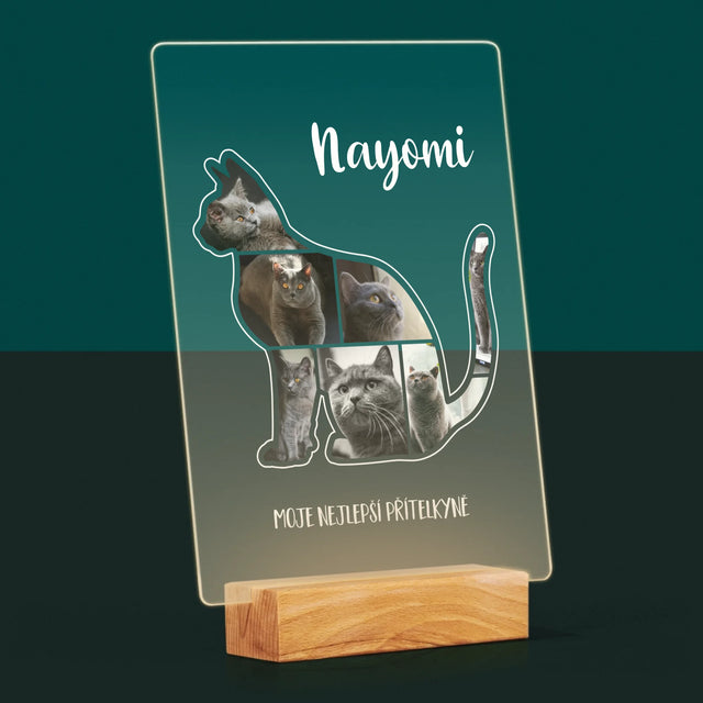 Tvar Z Fotek: Kočka Ten Nejlepší Přítel - Tisk Na Akrylovém Skle