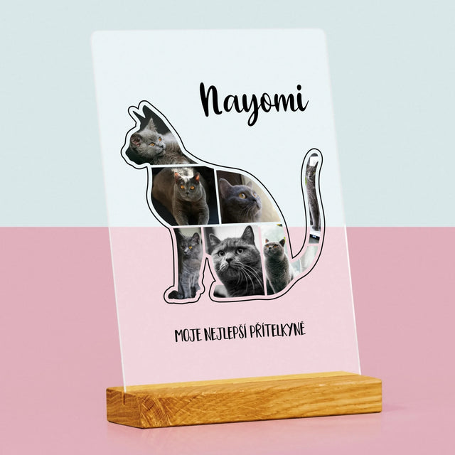 Tvar Z Fotek: Kočka Ten Nejlepší Přítel - Tisk Na Akrylovém Skle