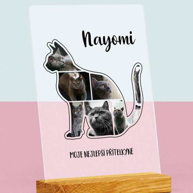 Tvar Z Fotek: Kočka Ten Nejlepší Přítel - Tisk Na Akrylovém Skle