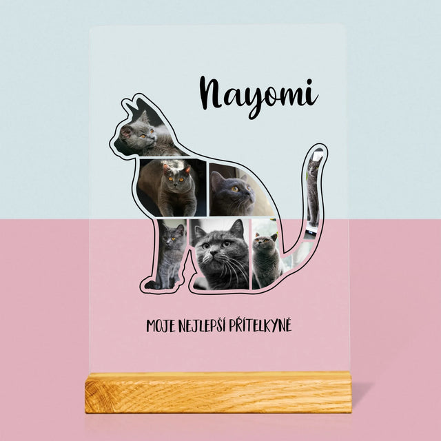 Tvar Z Fotek: Kočka Ten Nejlepší Přítel - Tisk Na Akrylovém Skle